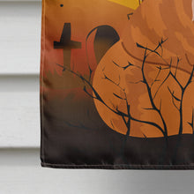 Load image into Gallery viewer, Halloween Maine Coon Cat Flag Canvas House Size BB4448CHF