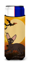 Load image into Gallery viewer, Halloween Peterbald Cat   Hugger for slim cans BB4451MUK
