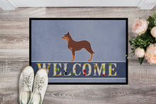 Load image into Gallery viewer, Australian Kelpie Dog Welcome Doormat - 24x36 Decorative Floor Mat – Indoor/Outdoor Rug with Artistic Flair BB5533JMAT