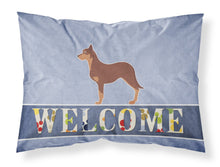 Load image into Gallery viewer, Australian Kelpie Dog Welcome Fabric Standard Pillowcase – Artistic Decorative Front, White Back BB5533PILLOWCASE