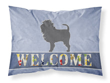 Load image into Gallery viewer, Affenpinscher Welcome Fabric Standard Pillowcase – Artistic Decorative Front, White Back BB5552PILLOWCASE