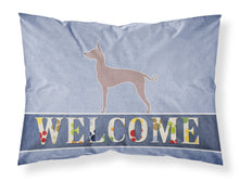 Load image into Gallery viewer, Dogo Argentino Welcome Fabric Standard Pillowcase – Artistic Decorative Front, White Back BB5571PILLOWCASE