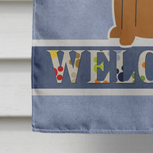 Load image into Gallery viewer, Irish Terrier Welcome Flag Canvas House Size BB5643CHF