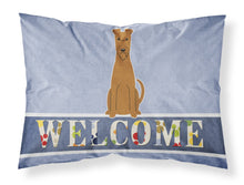 Load image into Gallery viewer, Irish Terrier Welcome Fabric Standard Pillowcase – Artistic Decorative Front, White Back BB5643PILLOWCASE