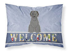 Load image into Gallery viewer, Briard Black Welcome Fabric Standard Pillowcase – Artistic Decorative Front, White Back BB5662PILLOWCASE
