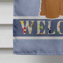 Load image into Gallery viewer, Briard Brown Welcome Flag Canvas House Size BB5663CHF