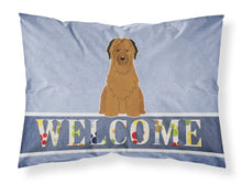 Load image into Gallery viewer, Briard Brown Welcome Fabric Standard Pillowcase – Artistic Decorative Front, White Back BB5663PILLOWCASE