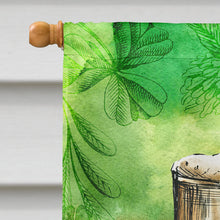 Load image into Gallery viewer, Irish Beer Mug Flag Canvas House Size BB5761CHF