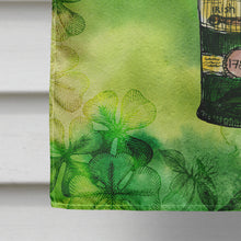 Load image into Gallery viewer, Irish Whiskey Bottle Flag Canvas House Size BB5765CHF