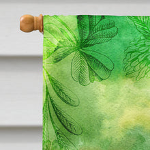 Load image into Gallery viewer, Irish Whiskey and Music Flag Canvas House Size BB5766CHF