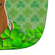 Load image into Gallery viewer, Irish Terrier Shamrocks Baby Bib BB6203BIB