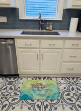 Load image into Gallery viewer, Raccoon Bathing Watercolor Machine Washable Memory Foam Mat BB7345RUG