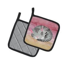 Load image into Gallery viewer, Sleeping Grey Cat Watercolor Pot Holders - Set of 2 - Heat-Resistant Kitchen Essentials BB7353PTHD