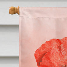 Load image into Gallery viewer, Poppies and Chamomiles Flag Canvas House Size BB7448CHF