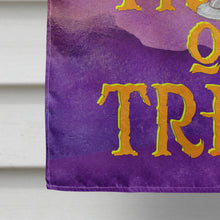 Load image into Gallery viewer, Halloween Trick or Treat Flag Canvas House Size BB7461CHF