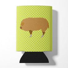 Load image into Gallery viewer, Hungarian Mangalica Pig Green Can or Bottle Hugger BB7760CC