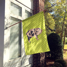 Load image into Gallery viewer, Mini Miniature Pig Green Flag Canvas House Size BB7761CHF
