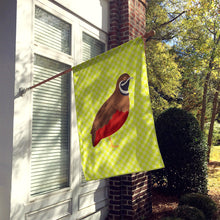 Load image into Gallery viewer, Chinese Painted or King Quail Green Flag Canvas House Size BB7782CHF