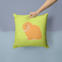 Load image into Gallery viewer, Holland Lop Rabbit Green Throw Pillow - 14x14 Decorative Pillow – Art for Your Home &amp; Patio BB7794PW1414