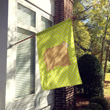 Load image into Gallery viewer, Lincoln Longwool Sheep Green Flag Canvas House Size BB7797CHF