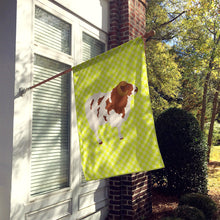 Load image into Gallery viewer, Jacob Sheep Green Flag Canvas House Size BB7801CHF