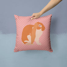 Load image into Gallery viewer, English Lop Rabbit Pink Check Throw Pillow - 14x14 Decorative Pillow – Art for Your Home &amp; Patio BB7962PW1414