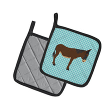 Load image into Gallery viewer, Zamorano-Leones Donkey Blue Check Pot Holders - Set of 2 - Heat-Resistant Kitchen Essentials BB8027PTHD