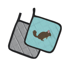 Load image into Gallery viewer, Chinchilla Blue Check Pot Holders - Set of 2 - Heat-Resistant Kitchen Essentials BB8049PTHD