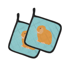 Load image into Gallery viewer, Holland Lop Rabbit Blue Check Pot Holders - Set of 2 - Heat-Resistant Kitchen Essentials BB8142PTHD