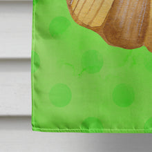 Load image into Gallery viewer, Sea Shell Green Polkadot Flag Canvas House Size BB8170CHF