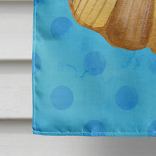Load image into Gallery viewer, Sea Shell Blue Polkadot Flag Canvas House Size BB8171CHF