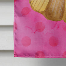 Load image into Gallery viewer, Sea Shell Pink Polkadot Flag Canvas House Size BB8174CHF