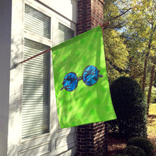 Load image into Gallery viewer, Sunglasses Green Polkadot Flag Canvas House Size BB8175CHF