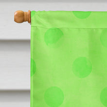 Load image into Gallery viewer, Sunglasses Green Polkadot Flag Canvas House Size BB8175CHF