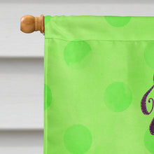 Load image into Gallery viewer, Beach Sunglasses Green Polkadot Flag Canvas House Size BB8205CHF