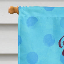 Load image into Gallery viewer, Beach Sunglasses Blue Polkadot Flag Canvas House Size BB8206CHF