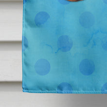 Load image into Gallery viewer, Beach Sunglasses Blue Polkadot Flag Canvas House Size BB8206CHF