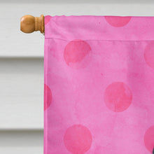 Load image into Gallery viewer, Sea Gull Pink Polkadot Flag Canvas House Size BB8229CHF
