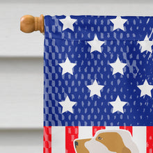 Load image into Gallery viewer, Ariege Pointer American Flag Canvas House Size BB8353CHF