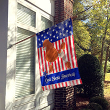 Load image into Gallery viewer, Royal Poodle American Flag Canvas House Size BB8392CHF