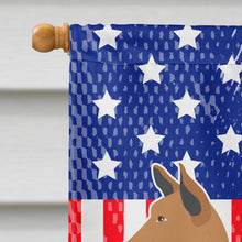 Load image into Gallery viewer, Telomian American Flag Canvas House Size BB8414CHF