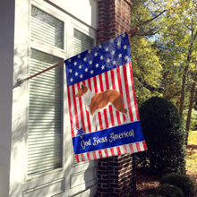 Load image into Gallery viewer, Smooth Collie American Flag Canvas House Size BB8423CHF
