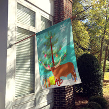 Load image into Gallery viewer, Ankole-Watusu Cow Christmas Flag Canvas House Size BB9190CHF