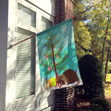 Load image into Gallery viewer, Coypu Nutria River Rat Christmas Flag Canvas House Size BB9246CHF