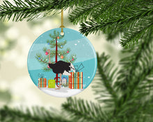Load image into Gallery viewer, Common Ostrich Christmas Ornament - Round Ceramic Ornament – Artist-Designed Keepsake Decoration BB9291CO1