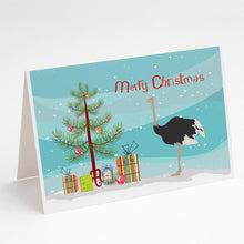 Load image into Gallery viewer, Common Ostrich Christmas Greeting Cards -  Blank Note Cards – 8-Pack of Artist-Designed Cards with Envelopes