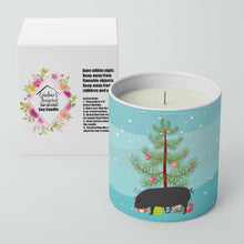 Load image into Gallery viewer, Devon Large Black Pig Christmas 10 oz Decorative Soy Candle