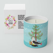 Load image into Gallery viewer, Saxon Fairy Swallow Pigeon Christmas 10 oz Decorative Soy Candle