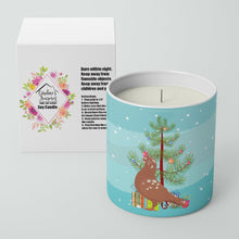 Load image into Gallery viewer, African Owl Pigeon Christmas 10 oz Decorative Soy Candle