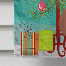 Load image into Gallery viewer, African Owl Pigeon Christmas Flag Canvas House Size BB9320CHF